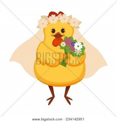 Chicken In Vail With Wreath Of Tender Chamomiles And Bouquet Of Field Flowers. Funny Hen With Soft Y