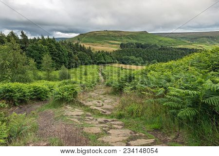 Cleveland Way Trail Looking Towards Urra Moor From Hasty Bank Above Broughton Plantation. The Clevel
