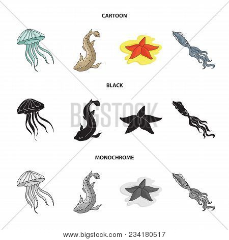 Jellyfish, Squid And Other Species.sea Animals Set Collection Icons In Cartoon, Black, Monochrome St