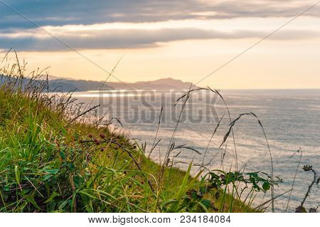 A View To Scenic Coastine Of Zumaia, Spain From A Summer Meadow With Summer Plants And Flowers.