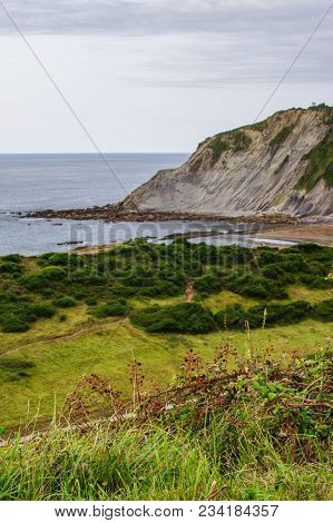A View To Scenic Coastine Of Zumaia, Spain From A Summer Meadow With Summer Plants And Flowers.