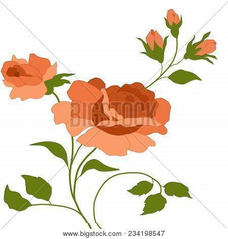 A Beautiful Bouquet Of Roses On A Dark Background.red Roses.