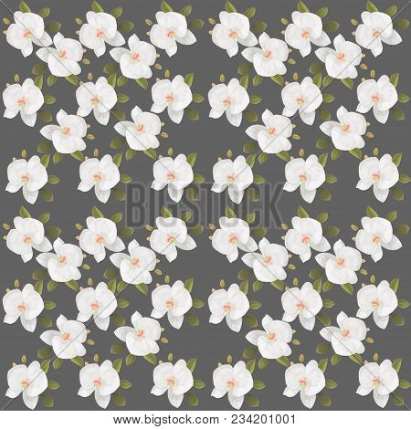 White Orchids With Green Leaves On A Gray Background.background Of Orchids.
