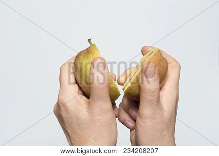 An Apple Fruit Held In A Hand