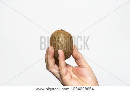 A Kiwi Fruit  Held In A Hand