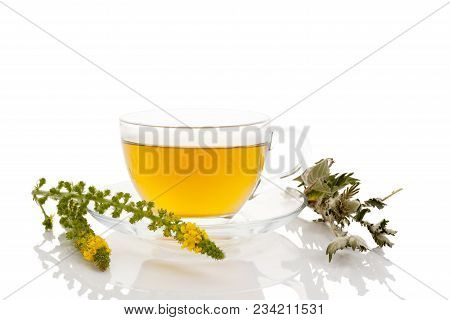 The Herbal Plant Common Agrimony Or Agrimonia Eupatoria. Dry Agrimony Leaves And Fresh Flower Isolat