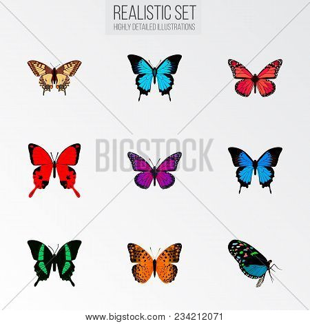 Set Of Moth Realistic Symbols With Pink-wing, Sky Animal, Checkerspot And Other Icons For Your Web M
