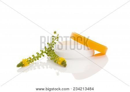 Flower Of A Common Agrimony (agrimonia Eupatoria). Medical Plant. Common Agrimony Creme. Natural Cos