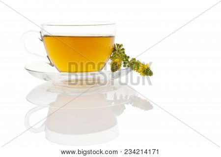 Healthy Agrimonia Cup Of Tea With Agrimonia Flowers. Isolated On White Background. Medicinal Plant.