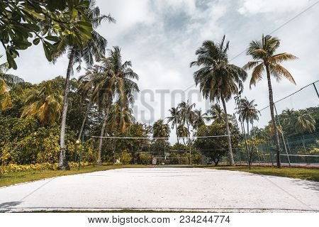 Wide-angle Frontal View Of The Volleyball Court: Coral Sand On The Ground, Multiple Palm Trees And O