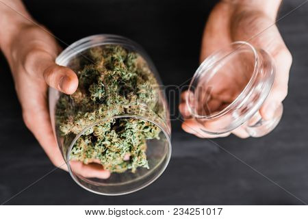 A Can With Fresh Buds Of Cannabis In The Hands Of A Man. The Concept Of Legal Marijuana Is Medical W