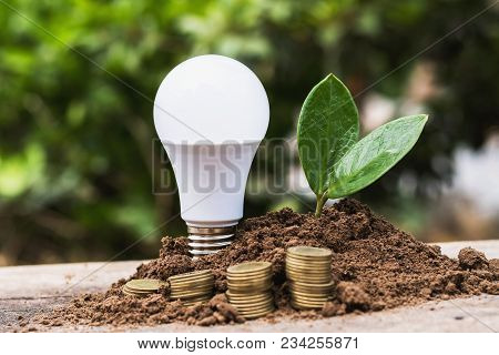 Led Blub With Green Leaf And Money On Dirt. Concept Saving Energy Power