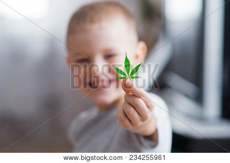 Smiling Kid Child Holding A Hemp Leaf. Concepts Of Using Marihuna For Medicinal Purposes For Childre