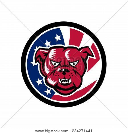 Icon Retro Style Illustration Of An American Or British Bulldog Head Front View With United States O