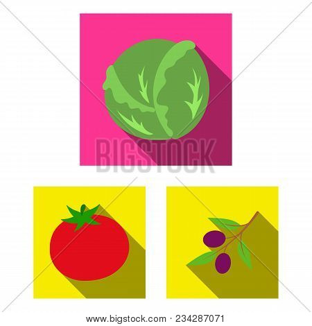 Different Kinds Of Vegetables Flat Icons In Set Collection For Design. Vegetables And Vitamins Vecto