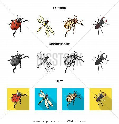 Arthropods Insect Ladybird, Dragonfly, Beetle, Colorado Beetle Insects Set Collection Icons In Carto