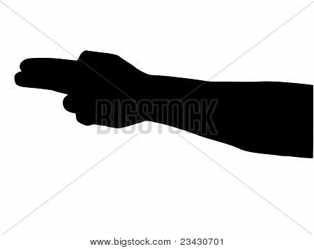 รูปแบบลายเส้นในมือ
