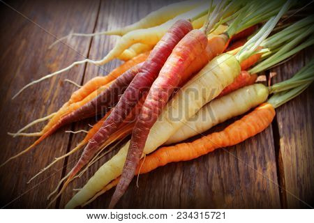 Carrots. Fresh Colorful Carrots On Dark Rustic Background.