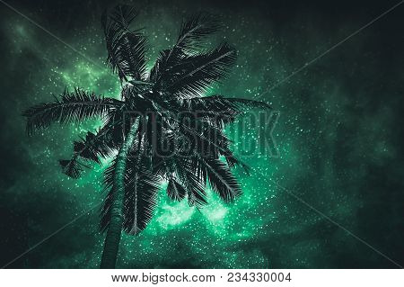 Glowing Of The Milky Way Galaxy In The Night Sky With Many Stars Above Coconut Plam. Beautiful Natur