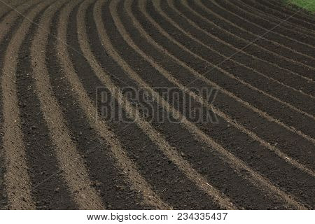 Fertile Soil As Basis For A Functional Agricultural Cultivation