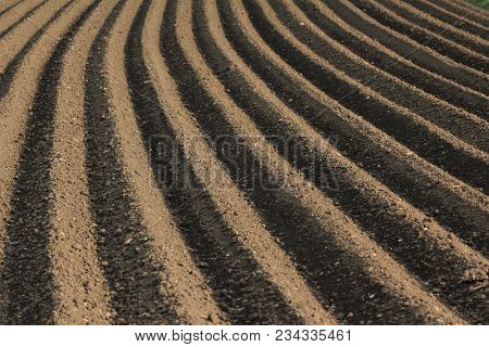 Fertile Soil As Basis For A Functional Agricultural Cultivation