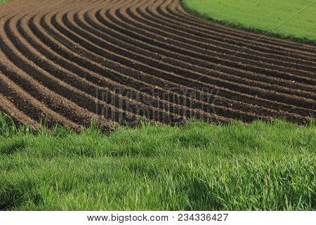 Fertile Soil As Basis For A Functional Agricultural Cultivation