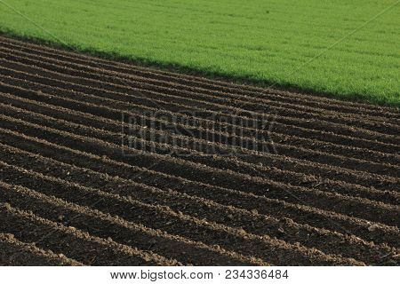 Fertile Soil As Basis For A Functional Agricultural Cultivation