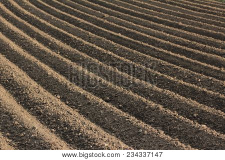 Fertile Soil As Basis For A Functional Agricultural Cultivation