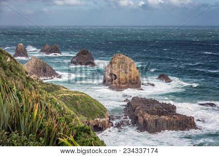 New Zealand Coast