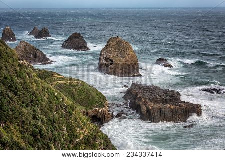 New Zealand Coast