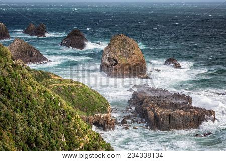 New Zealand Coast