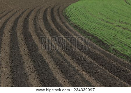 Fertile Soil As Basis For A Functional Agricultural Cultivation