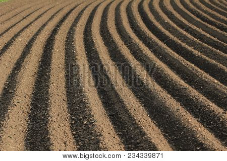 Fertile Soil As Basis For A Functional Agricultural Cultivation