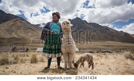 Arequipa, Peru - September 2017: Peruvian Woman With Lama And Alpaca.