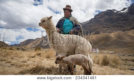 Arequipa, Peru - September 2017: Peruvian Woman With Lama And Alpaca.