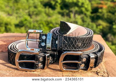 Fashion Luxury Snakeskin Leather Belts Outdoors. Python Belts On A Tropical Background. Indonesia, B