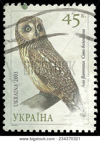 Ukraine - Circa 2003: Stamp Printed By Ukraine, Color Edition On Fauna, Shows Short Eared Owl, Asio 