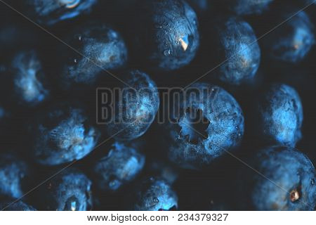 Blueberry Myrtilles Pile, Macro Shot With Selective Focus