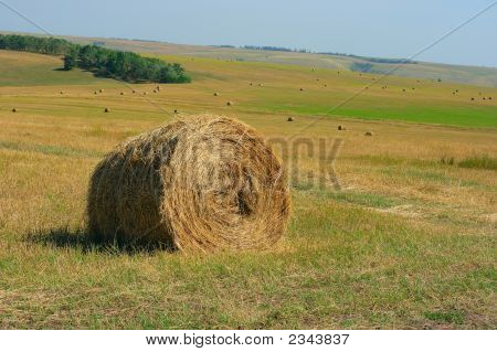 Mező verem
