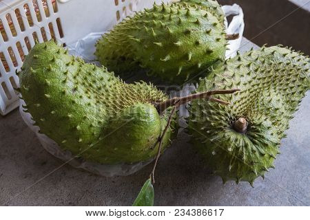 Soursop, Prickly Custard Apple, Has A There Are Many Benefits. African Countries Used As A Herbal Me