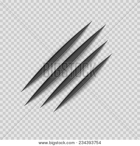 Black Claws Animal Scratch Scrape Track. Cat Or Tiger Scratches Paw Shape. Four Nails Trace. Vector 