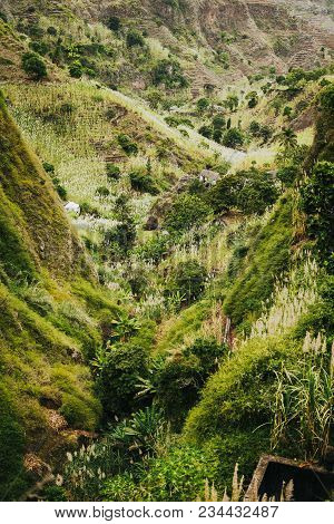 Cape Verde. Landscape Of Vegetation And Mountains And Some Local Dwellings Of The Paul Valley. Culti