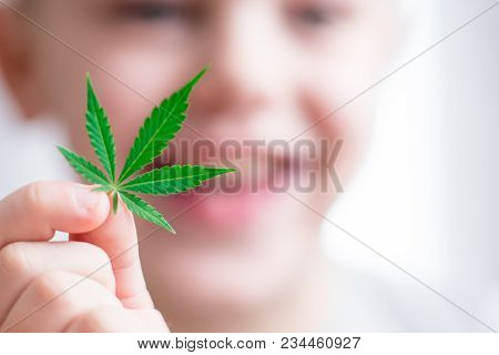 Smiling Kid Child Holding A Hemp Leaf. Concepts Of Using Marihuna For Medicinal Purposes For Childre