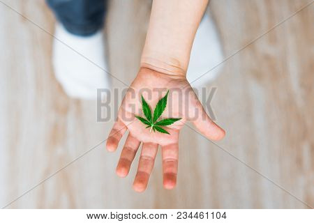 Smiling Kid Child Holding A Hemp Leaf. Concepts Of Using Marihuna For Medicinal Purposes For Childre