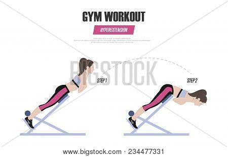 Sport Exercises. Gym Workout. Hyperextension On Roman Chair. Illustration Of An Active Lifestyle. Ve
