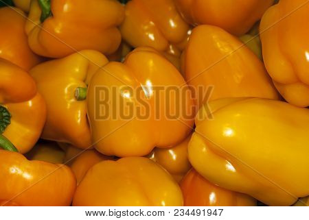 Background - Bright Yellow Ripe Fruits Of Sweet Capsicum Bell Pepper