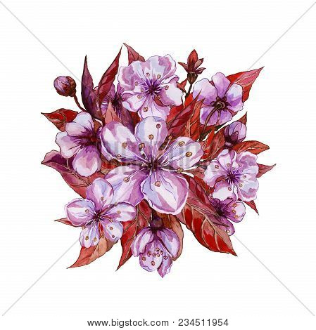 Beautiful Twig Of Fruit Tree In Bloom. Spring Flourish Illustration In Lilac And Red Color. Isolated