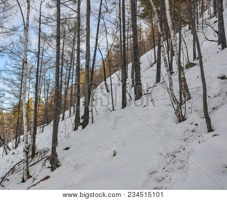 Winter Scenery Of Heilongjiang, China