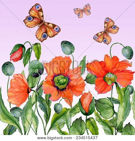 Vivid Summer Background. Beautiful Red Poppy Flowers And Flying Butterflies On Pink Background. Squa