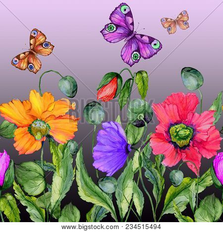 Vivid Summer Background. Beautiful Colorful Poppy Flowers And Flying Butterflies On Purple Backgroun